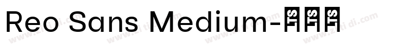 Reo Sans Medium字体转换